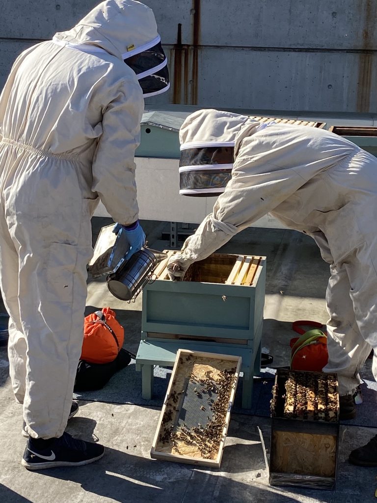 Julius & Simon - Beekeepers to The Royal Albert Dock Trust